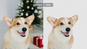 AI Background Remover